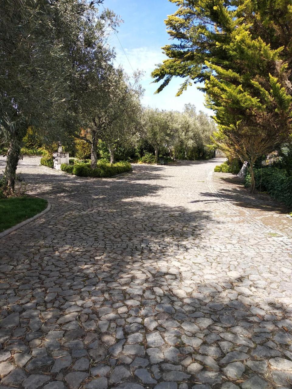 Hotel Quinta Da Telheira Vila Real Exteriér fotografie