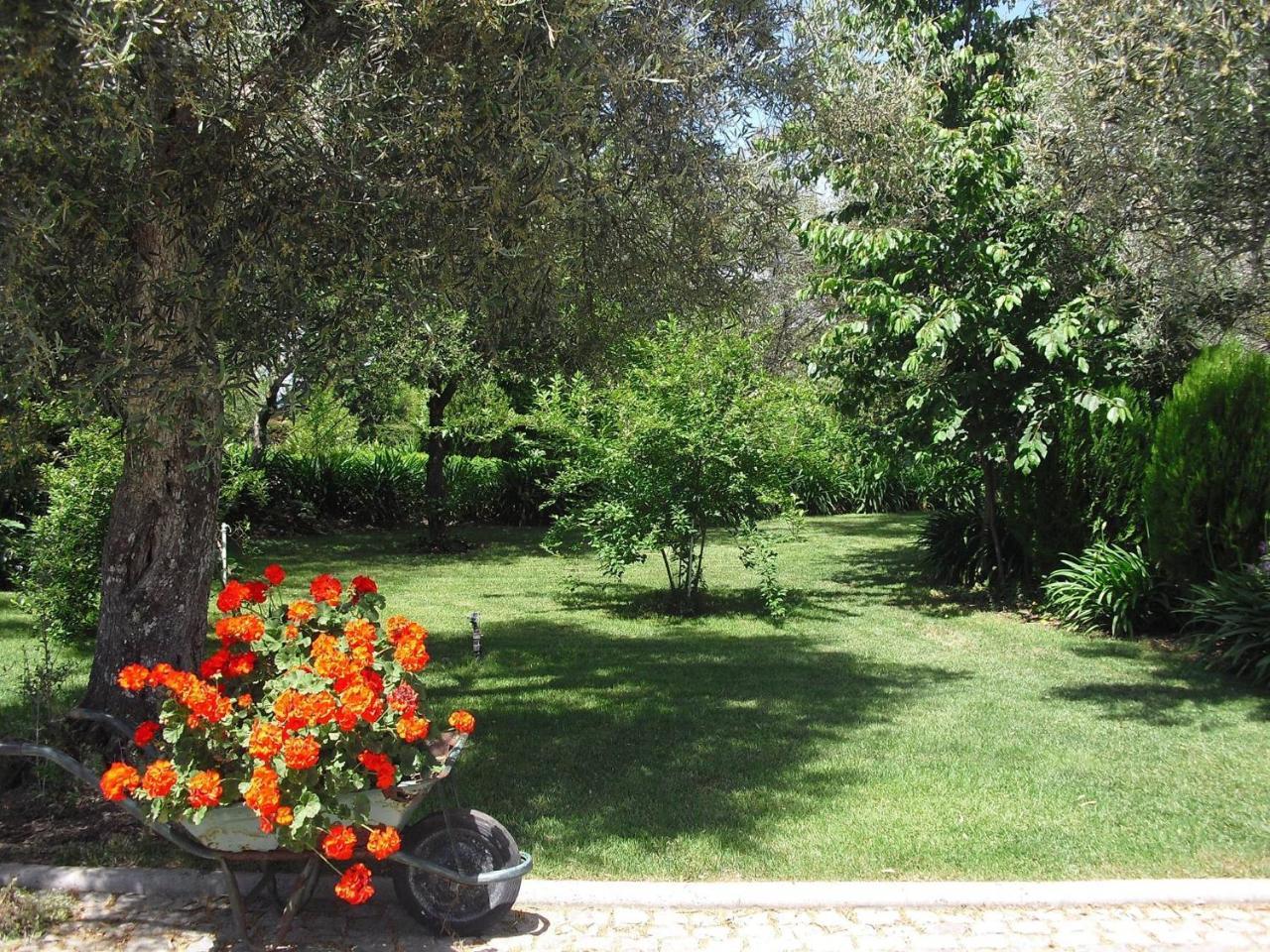 Hotel Quinta Da Telheira Vila Real Exteriér fotografie